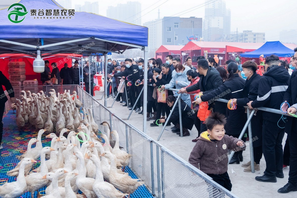 太和●招商运营